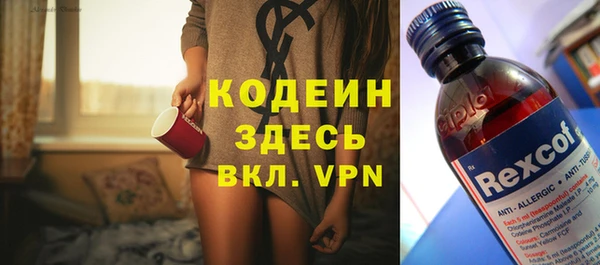 стаф Болхов