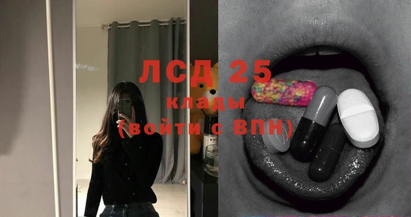 PSILOCYBIN Билибино
