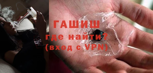 гидра Богородск