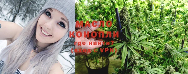 mdpv Богородицк