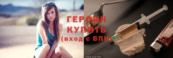 гидра Богородск