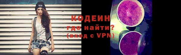 гидра Богородск