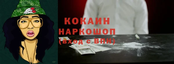 гидра Богородск