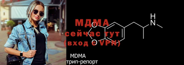 гидра Богородск