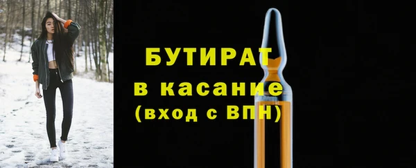 гидра Богородск