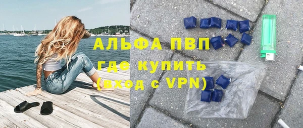 гидра Богородск