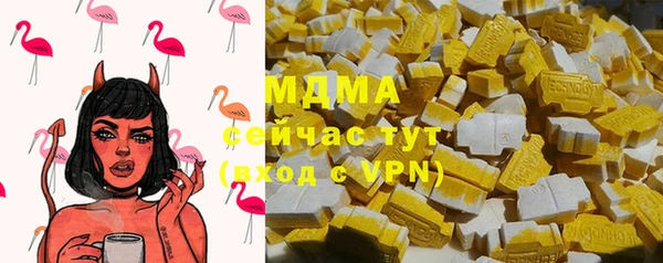 ПСИЛОЦИБИНОВЫЕ ГРИБЫ Болотное