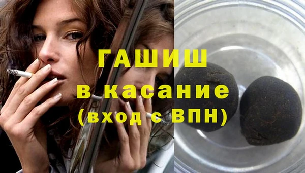 гидра Богородск
