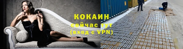 мяу мяу мука Богданович