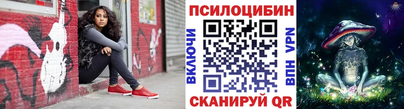 Псилоцибиновые грибы Psilocybine cubensis  цены наркотик  мега ТОР  Вязники 