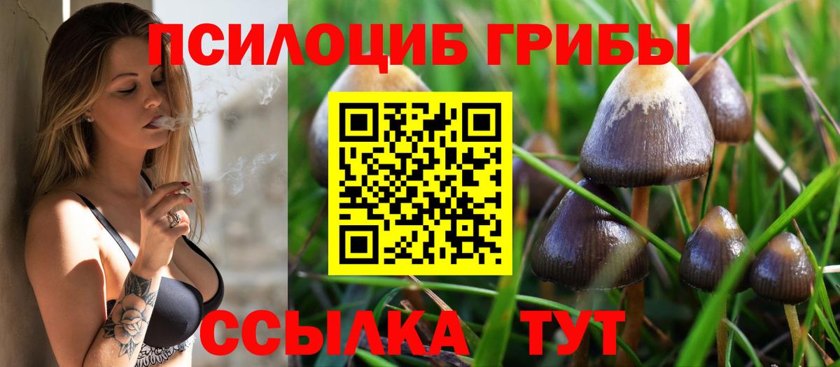 Галлюциногенные грибы ЛСД Вязники