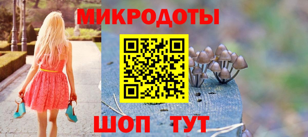 Вязники  Галлюциногенные грибы MAGIC MUSHROOMS  Вход с VPN 