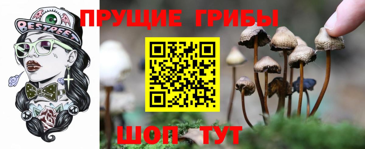 Галлюциногенные грибы прущие грибы Вязники