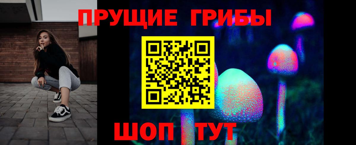 Псилоцибиновые грибы GOLDEN TEACHER  Вязники 